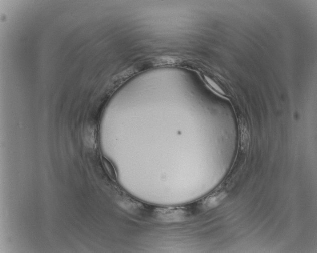 X0000073920331200609082244