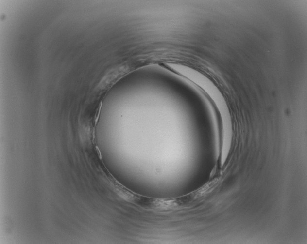 X0000073920333200609082244