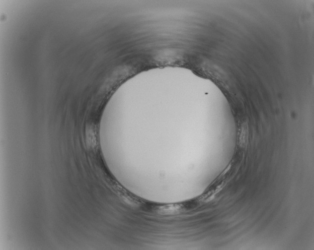 X0000073920335200609082244