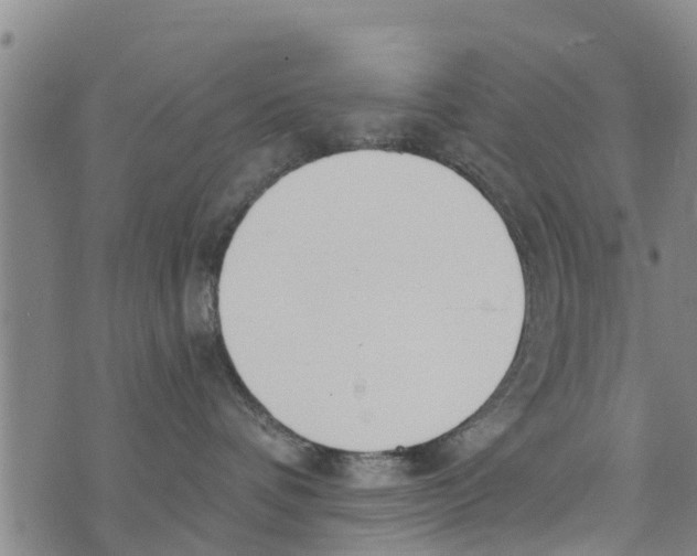 X0000073920336200609082244