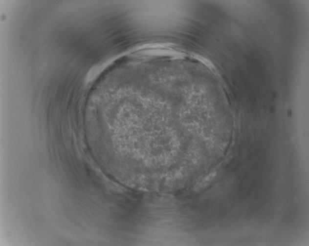 X0000073920337200609082243