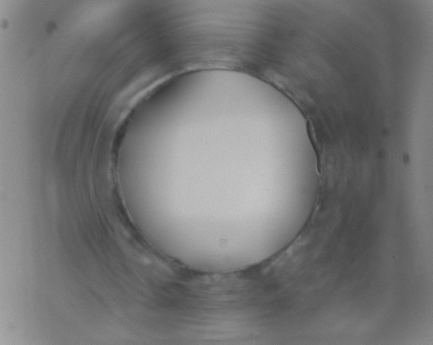 X0000073920338200609082243