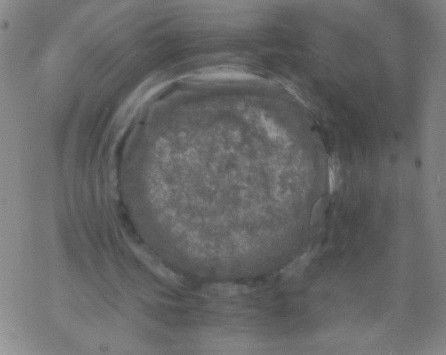 X0000073920339200609082243