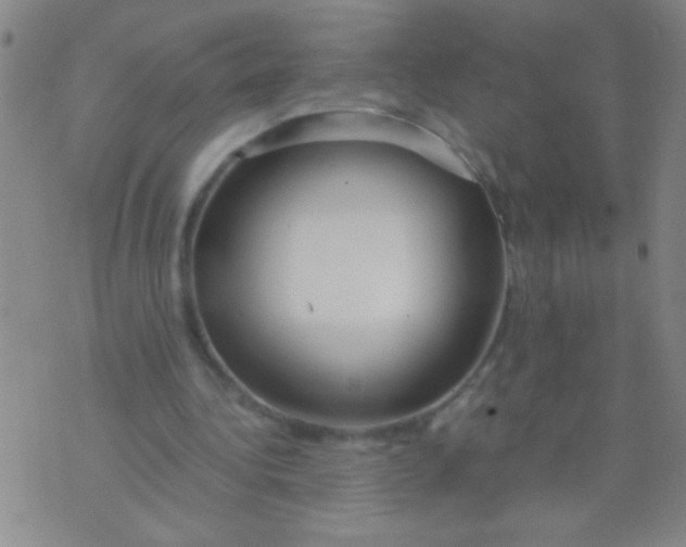 X0000073920340200609082243