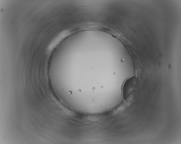 X0000073920341200609082243