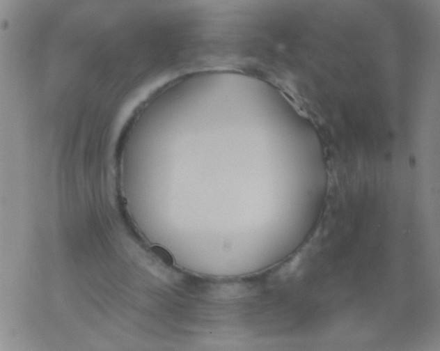 X0000073920342200609082243