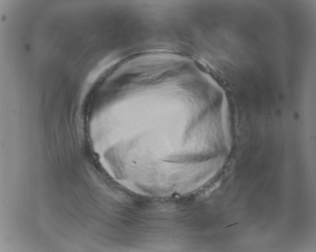 X0000073920343200609082243