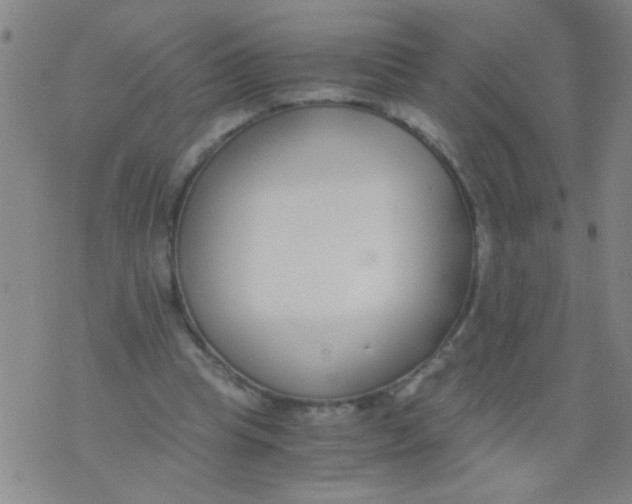 X0000073920345200609082243