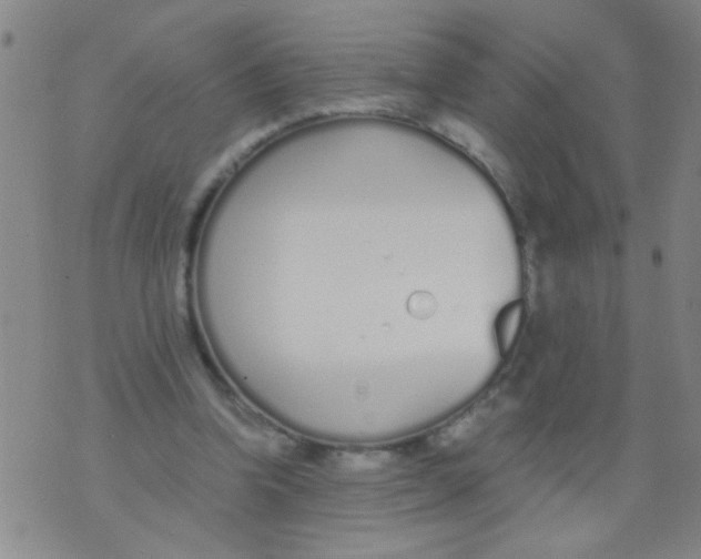 X0000073920346200609082243