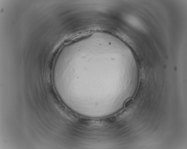 X0000073920347200609082243