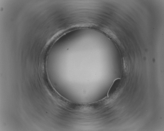 X0000073920348200609082243