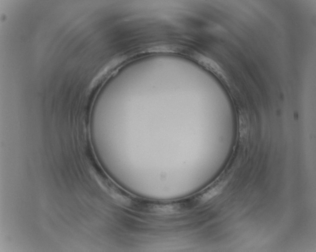 X0000073920349200609082243