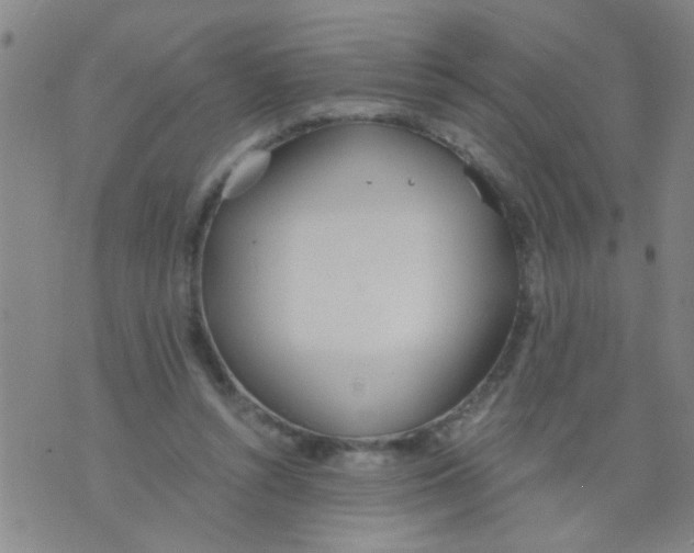 X0000073920352200609082243