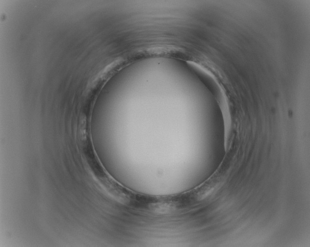 X0000073920356200609082243