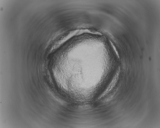 X0000073920357200609082244