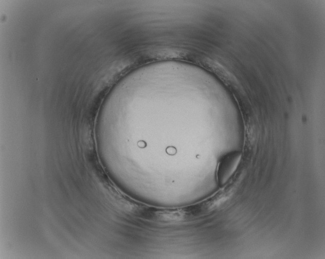 X0000073920359200609082244