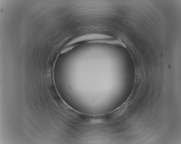 X0000073920360200609082244