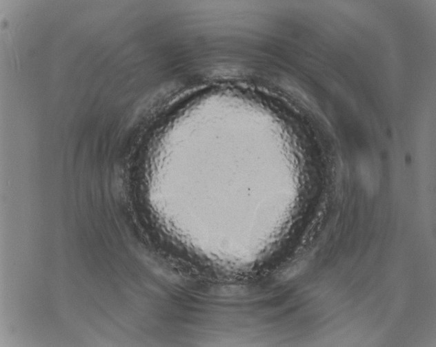 X0000073920361200609082244