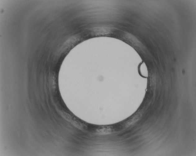 X0000073920362200609082244