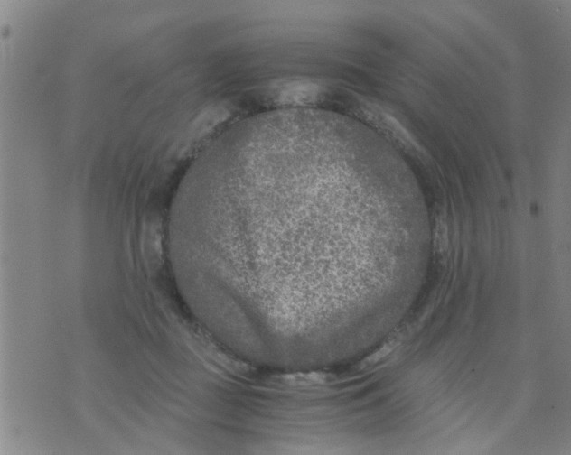 X0000073920363200609082244