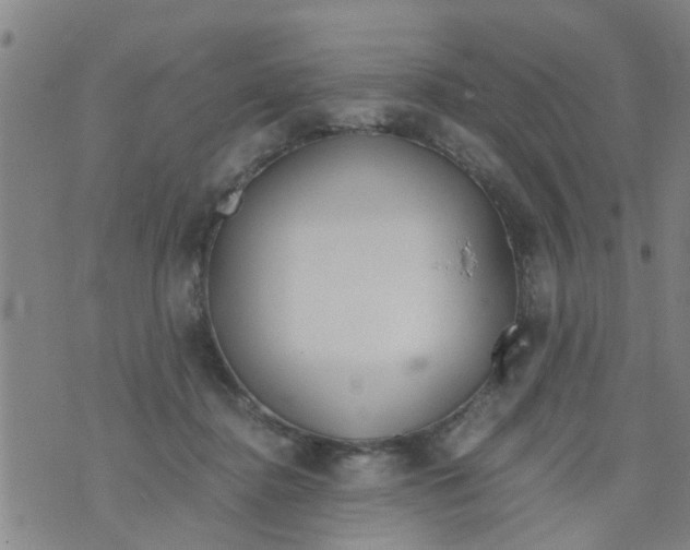 X0000073920364200609082244