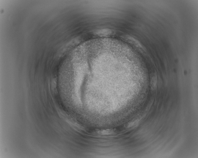 X0000073920365200609082244