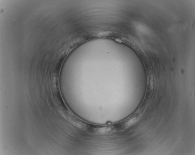 X0000073920366200609082244