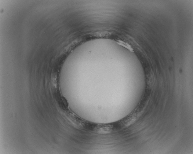 X0000073920368200609082244