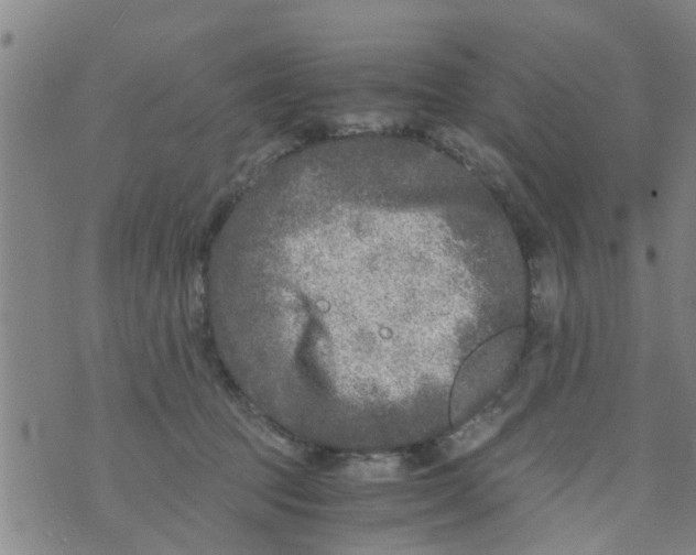 X0000073920369200609082244