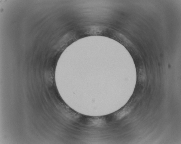 X0000073920370200609082244