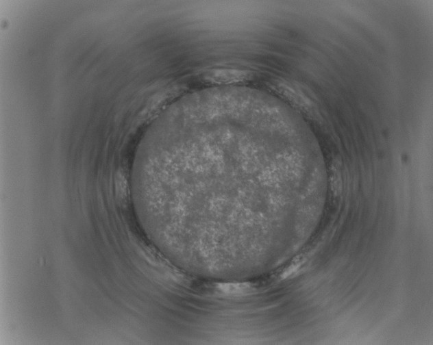 X0000073920371200609082244