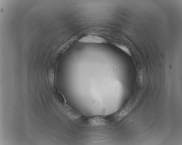 X0000073920372200609082244