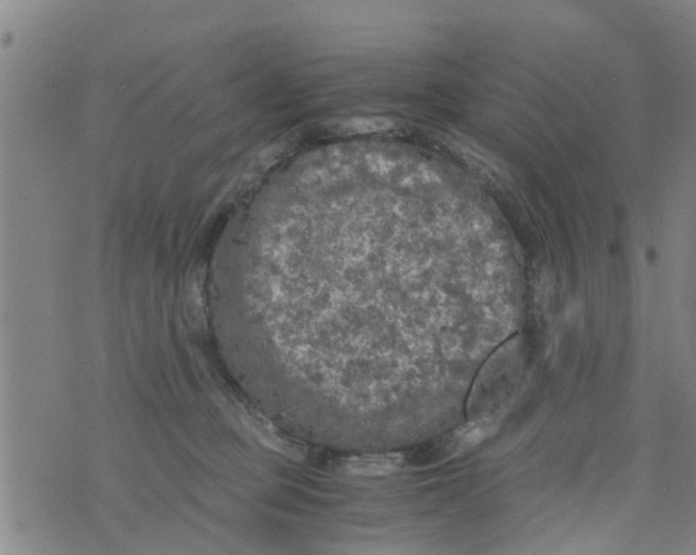 X0000073920373200609082244