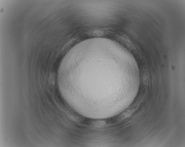 X0000073920374200609082244