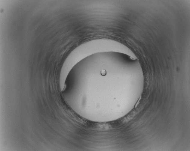 X0000073920376200609082244