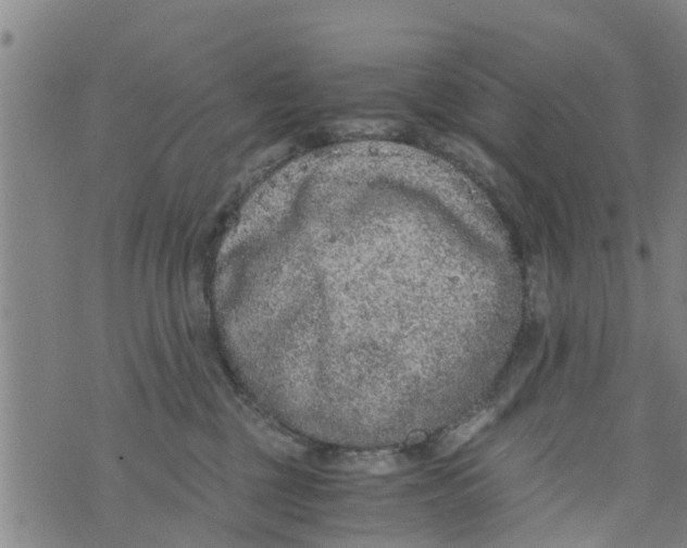 X0000073920377200609082244