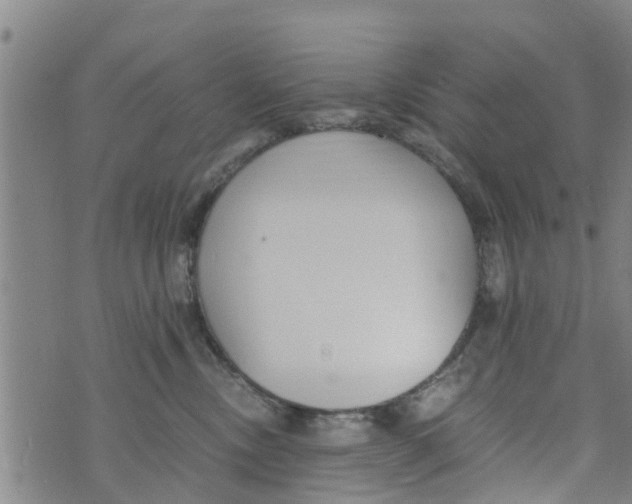 X0000073920378200609082244