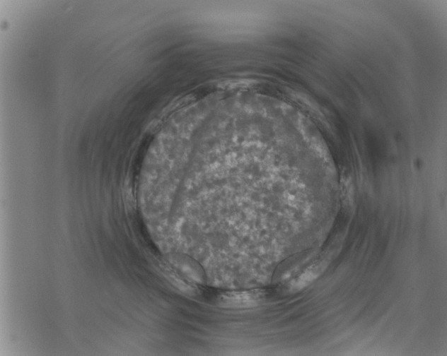 X0000073920381200609082244