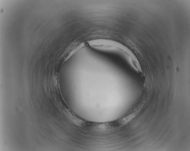 X0000073920382200609082244