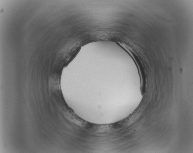 X0000073920384200609082244