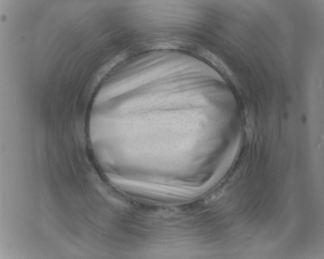 X0000073920386200609082243