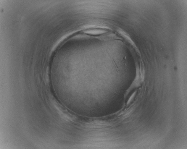 X0000073920387200609082243