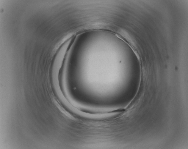 X0000073920389200609082243