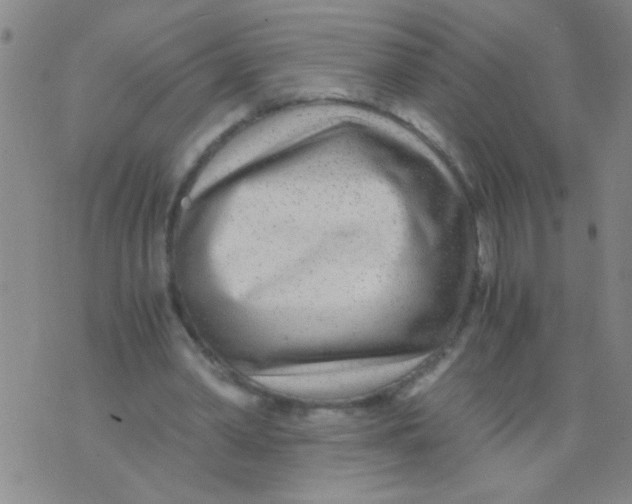 X0000073920390200609082243