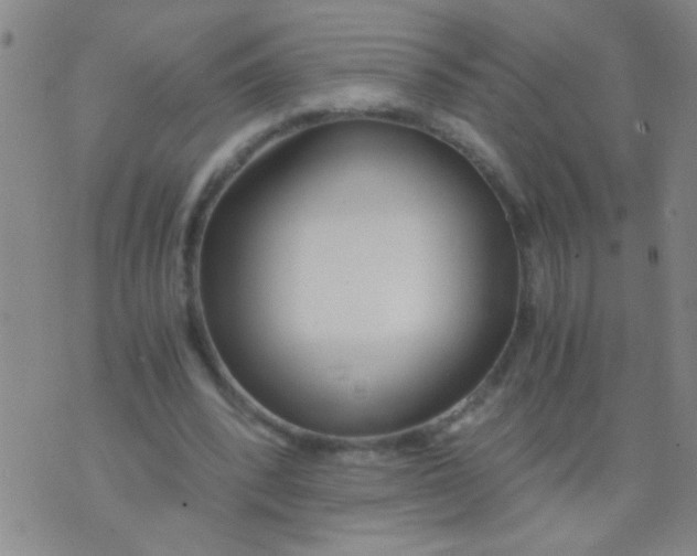 X0000073920392200609082243