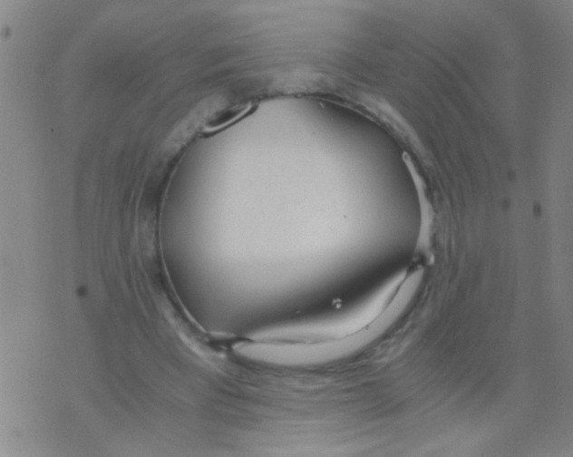 X0000073920393200609082243