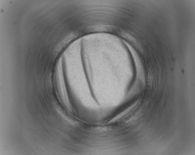 X0000073920394200609082243