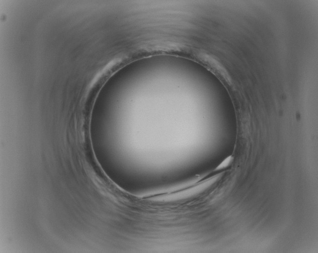 X0000073920395200609082243