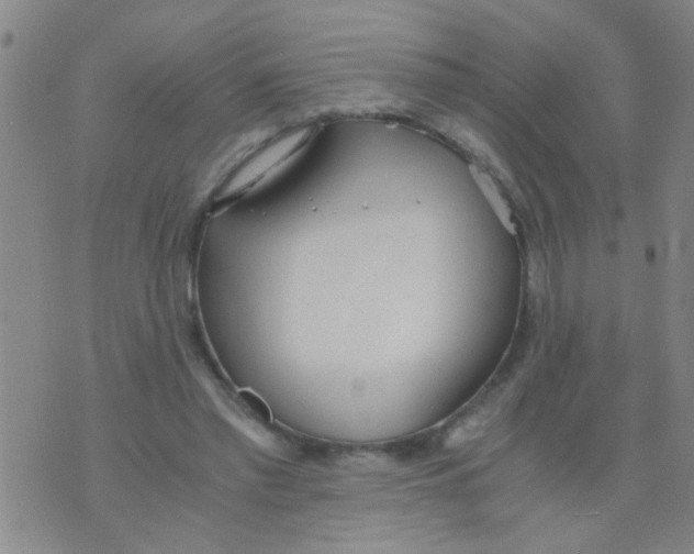 X0000073920397200609082243