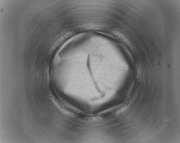 X0000073920398200609082243